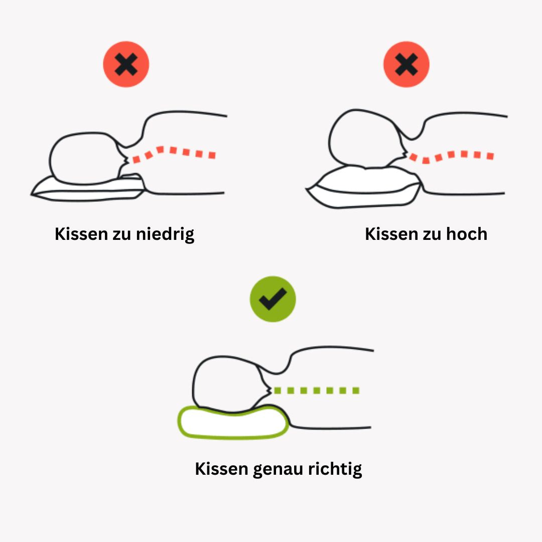 OrthoDream® Orthopädisches Kissen
